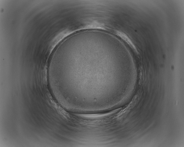 X0000087641268200705031501