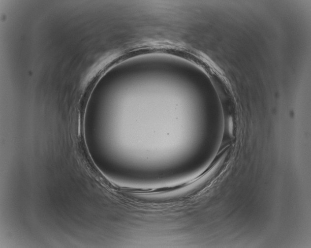 X0000087641269200705031501