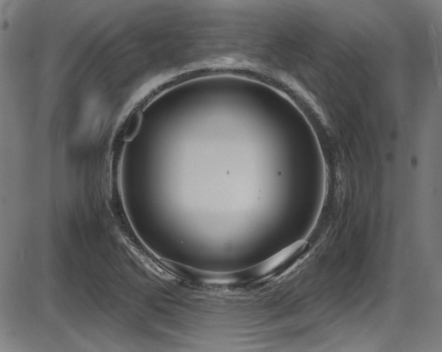 X0000087641270200705031501