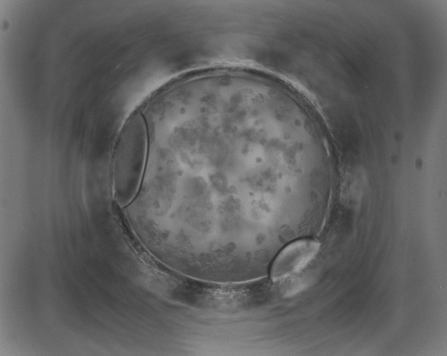 X0000087641271200705031501