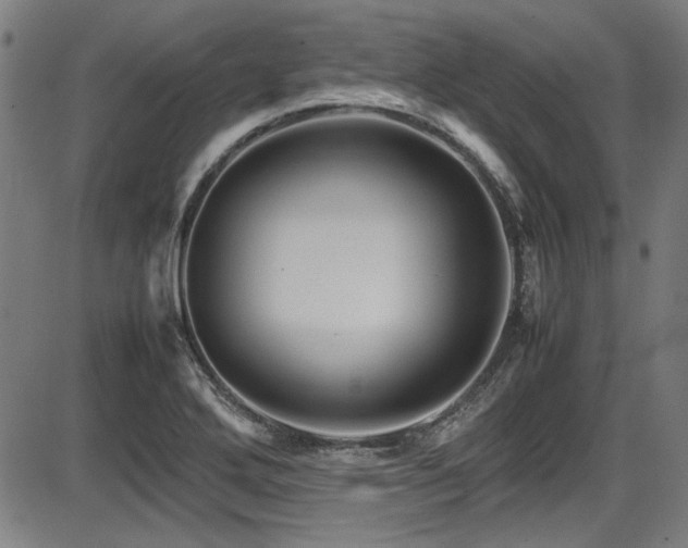 X0000087641272200705031501