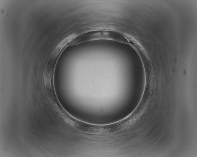 X0000087641273200705031501