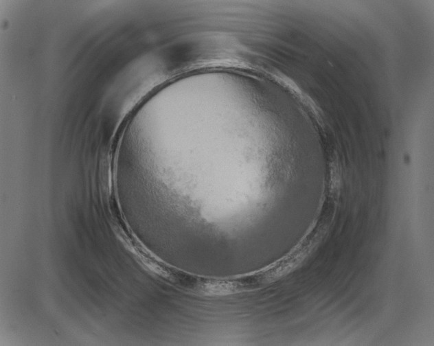 X0000087641274200705031501