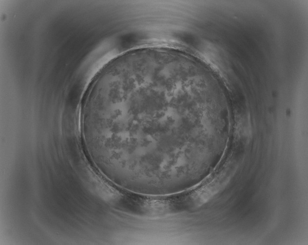 X0000087641275200705031501