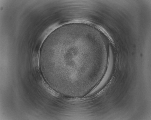 X0000087641276200705031501