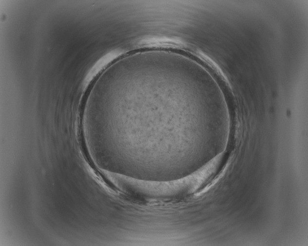 X0000087641277200705031501