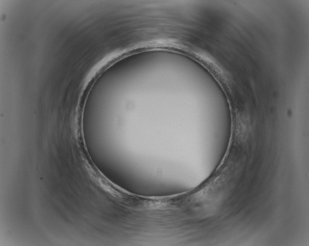 X0000087641278200705031501