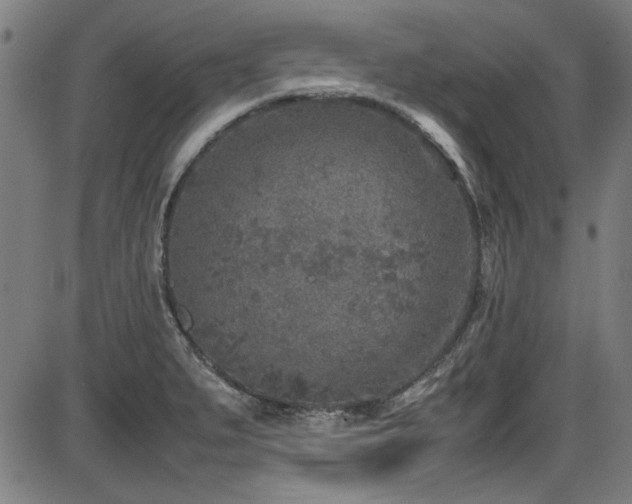 X0000087641279200705031501