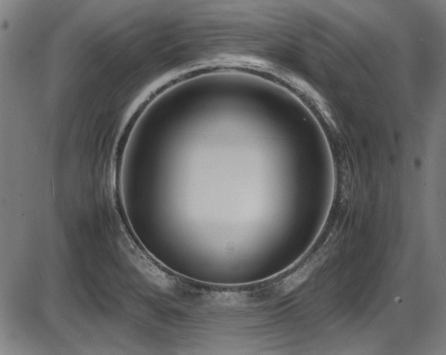 X0000087641280200705031501