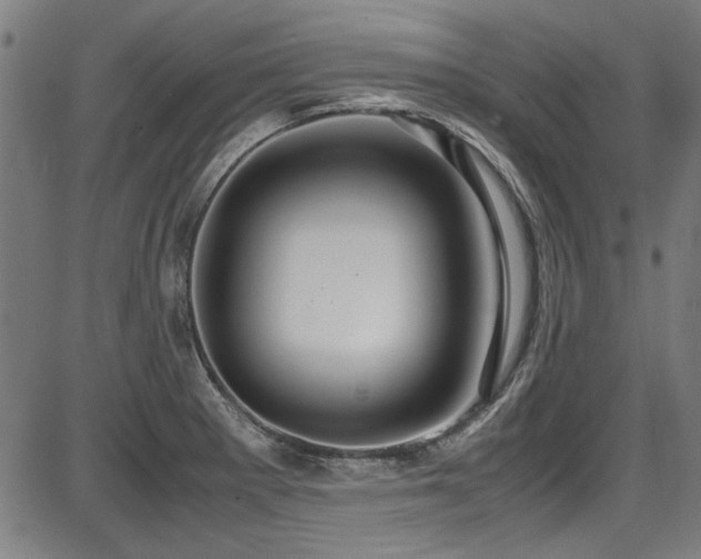 X0000087641281200705031501