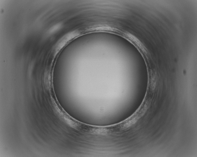 X0000087641282200705031501