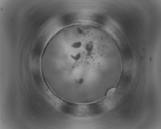 X0000087641283200705031501