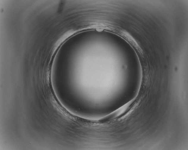 X0000087641284200705031501