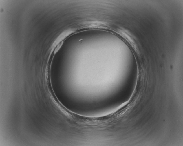 X0000087641285200705031501