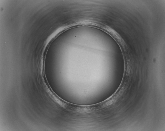 X0000087641286200705031501