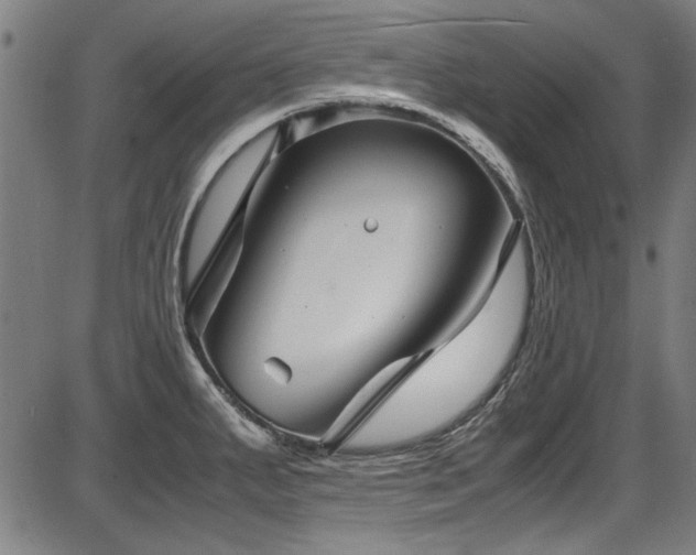 X0000087641287200705031501