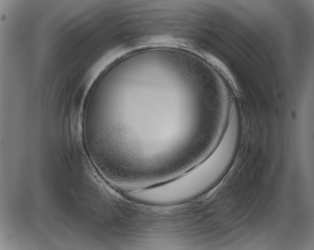 X0000087641288200705031501