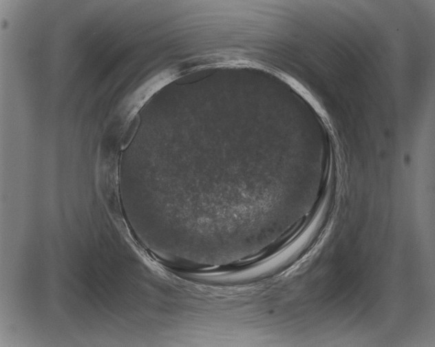 X0000087641289200705031501