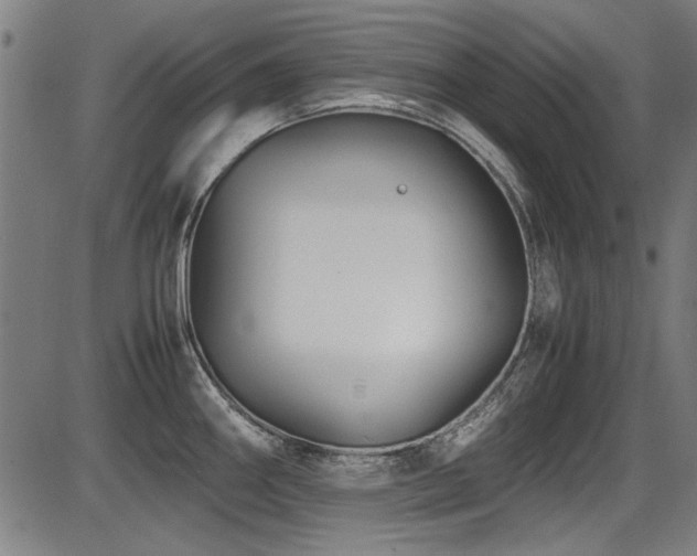 X0000087641290200705031501