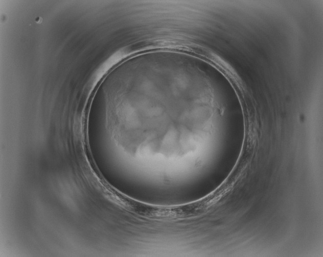 X0000087641291200705031501