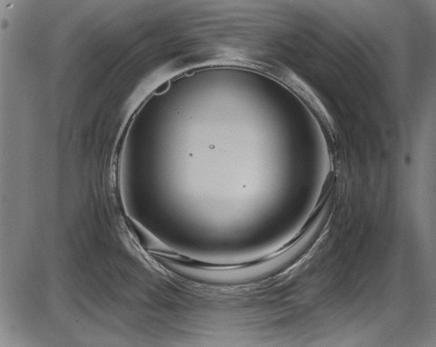 X0000087641292200705031501