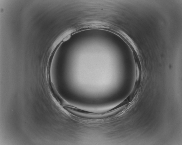 X0000087641293200705031501