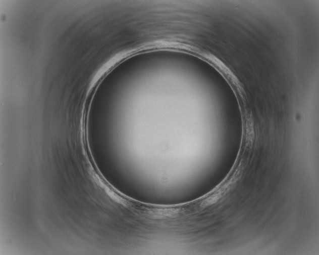 X0000087641294200705031501