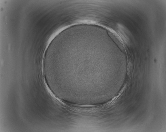 X0000087641295200705031501