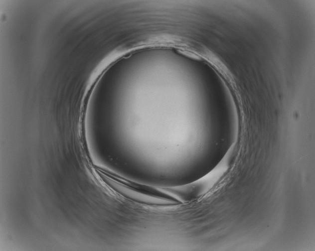 X0000087641296200705031501