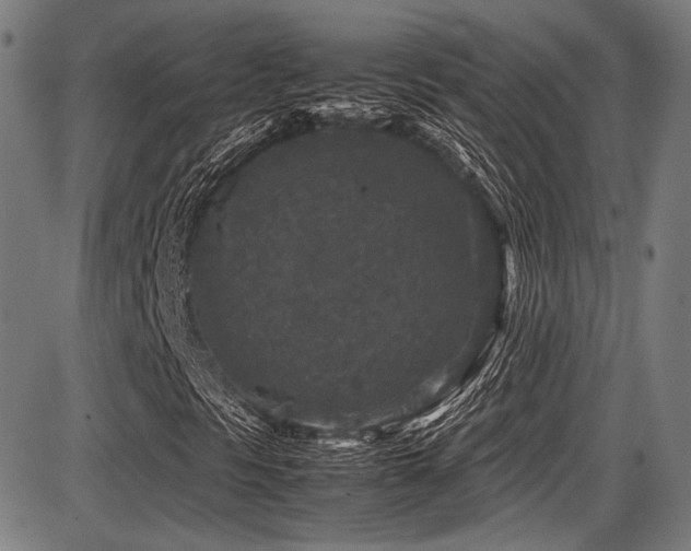 X0000087641297200705031500