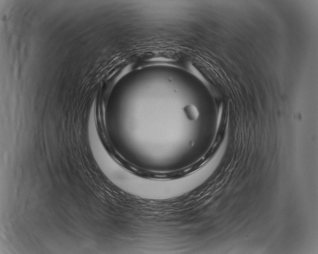 X0000087641298200705031500