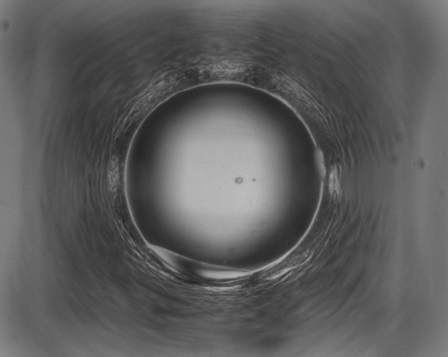 X0000087641299200705031500