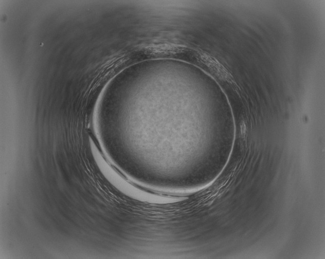 X0000087641300200705031500