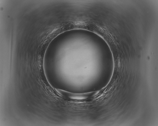 X0000087641301200705031500