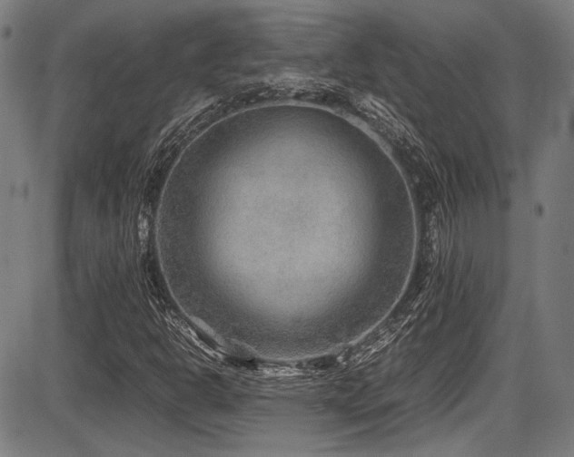 X0000087641302200705031500