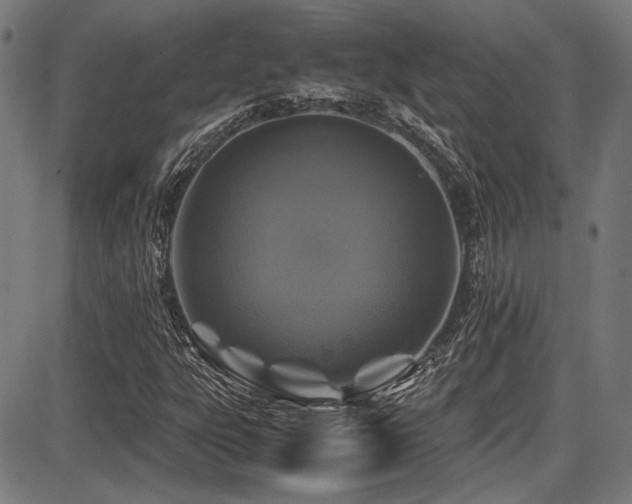 X0000087641303200705031500