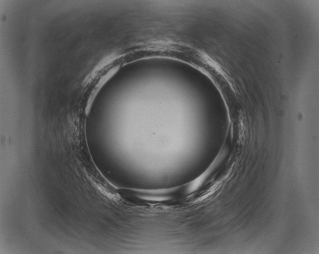 X0000087641304200705031500