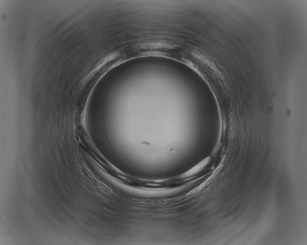 X0000087641305200705031500