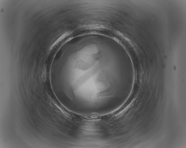 X0000087641306200705031500