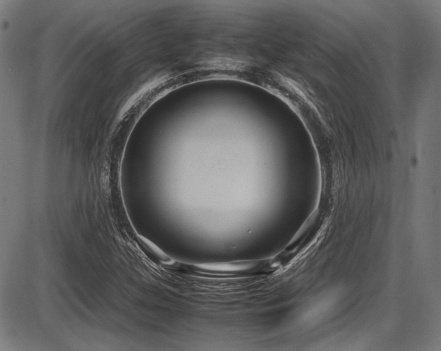 X0000087641307200705031500