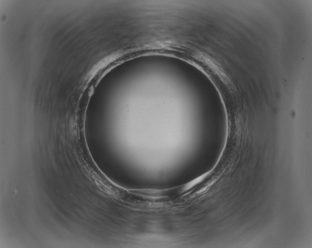 X0000087641308200705031500