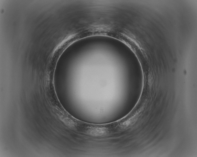 X0000087641309200705031500