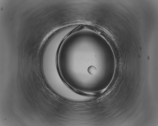 X0000087641310200705031500