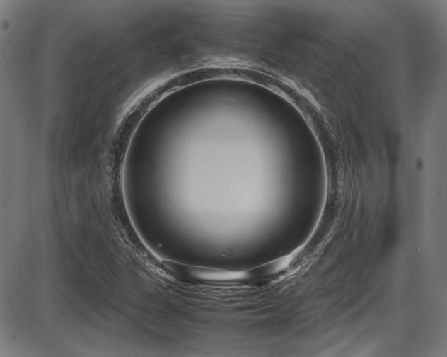 X0000087641311200705031500