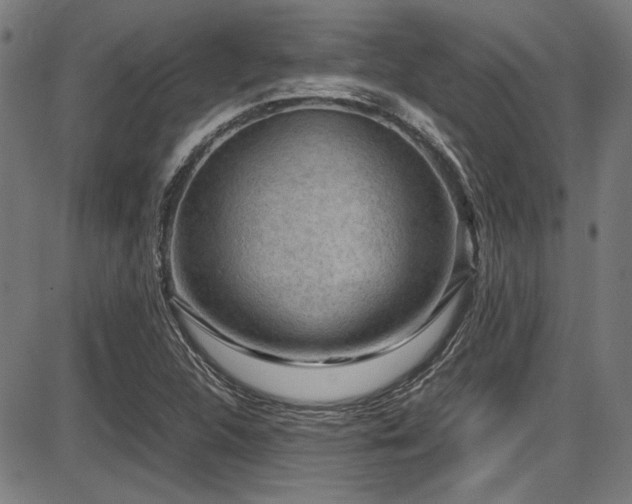 X0000087641312200705031500