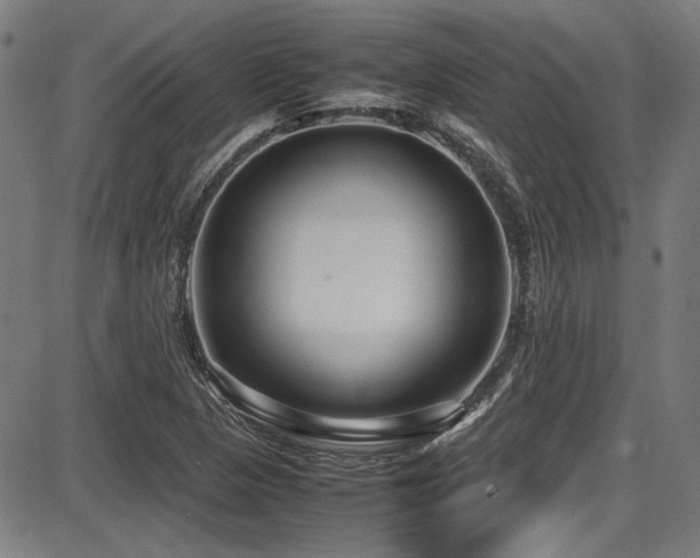 X0000087641313200705031500