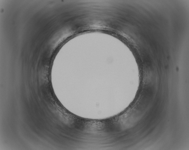 X0000087641314200705031500