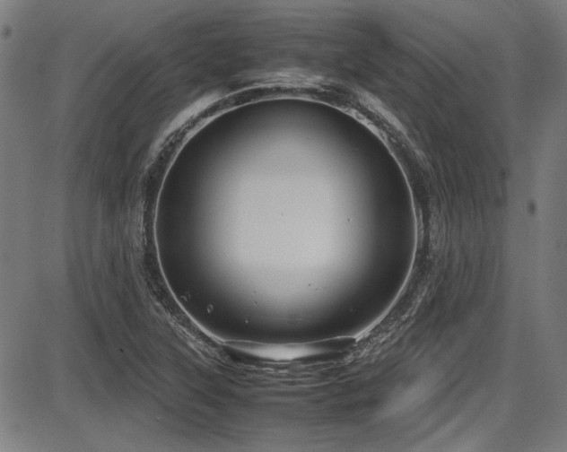 X0000087641315200705031500