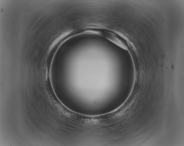 X0000087641317200705031500