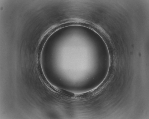 X0000087641318200705031500